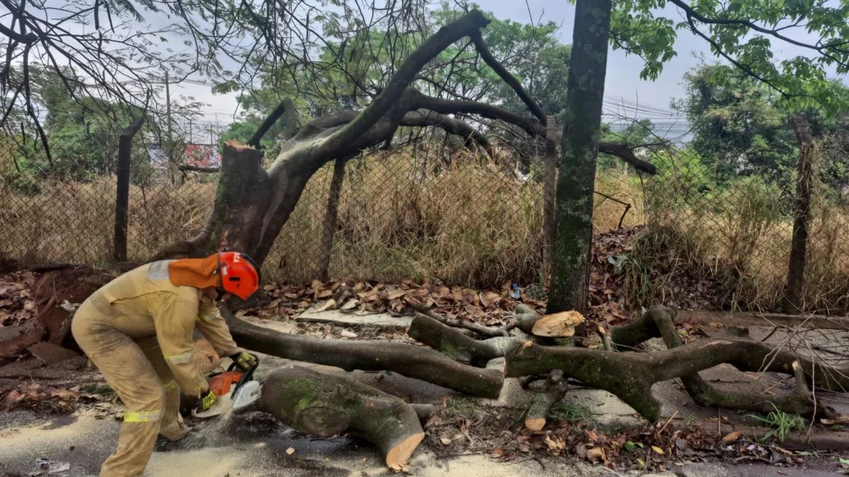 Foto 2 de 2 — Temporal derruba árvores e deixa Araraquara em alerta